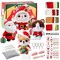 Christmas Bunny, Shiba Inu, Cat and Santa Needle Felting Kit. Wizardi DIY Wool Craft Kit F07N8-Z-06